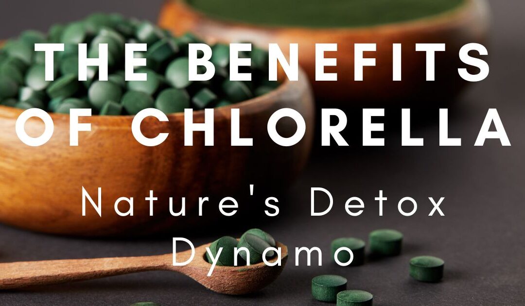 The Benefits of Chlorella: Nature’s Detox Dynamo for a Healthier You