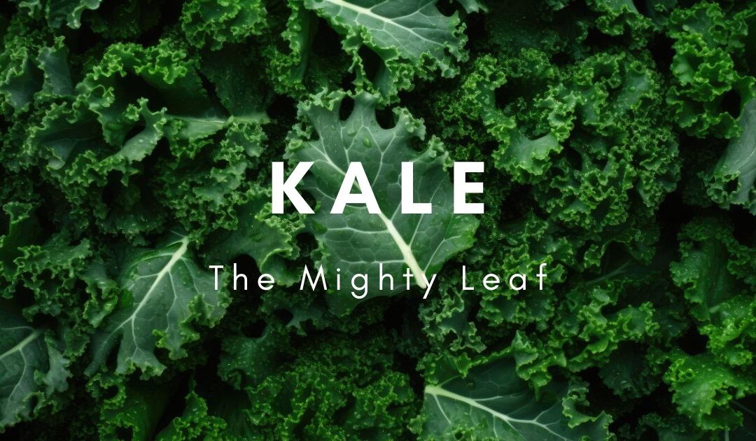 Kale: The Mighty Leaf that Packs a Nutrient-Punch