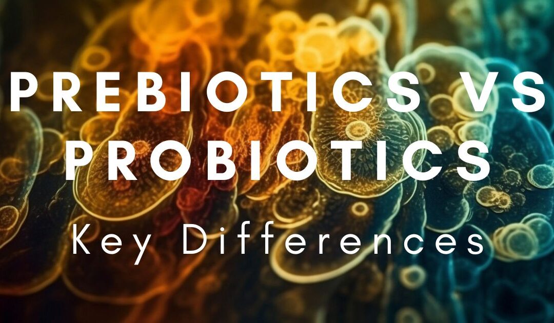 Prebiotics vs Probiotics: What’s the Difference and Which One is Better for You?